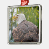 Portret van kale adelarend metalen ornament (Links)