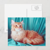 Portret van kat briefkaart (Voorkant / Achterkant)