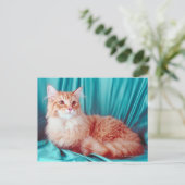 Portret van kat briefkaart (Staand voorkant)