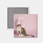 Portret van kat magneet (Voorkant / Achterkant)