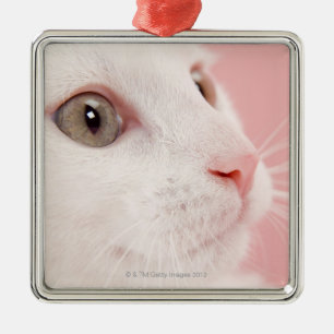 Portret van kat metalen ornament