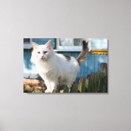 Portret van kat op hek canvas afdruk (Voorkant)