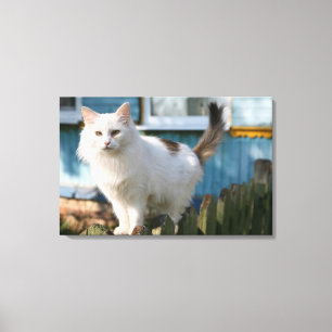 Portret van kat op hek canvas afdruk