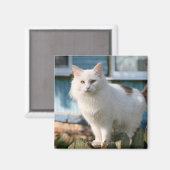 Portret van kat op hek magneet (Voorkant / Achterkant)
