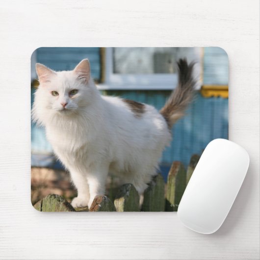 Portret van kat op hek muismat (Met muis)