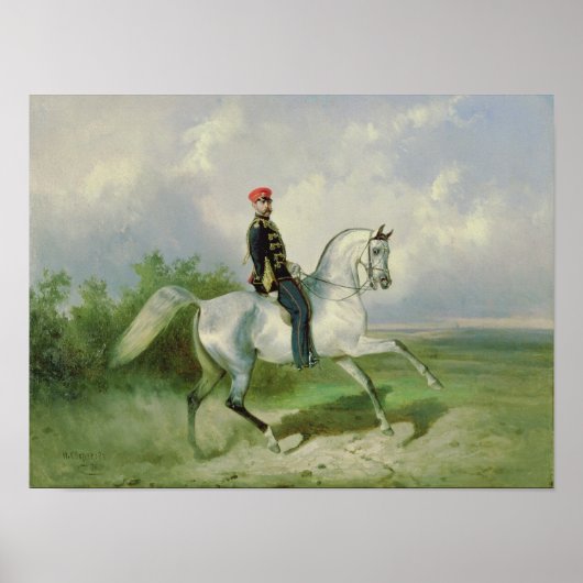 Portret van keizer Alexander II 1876 Poster (Voorkant)