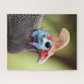 Portret van kleurrijk Guinee-Fowl Legpuzzel (Horizontaal)