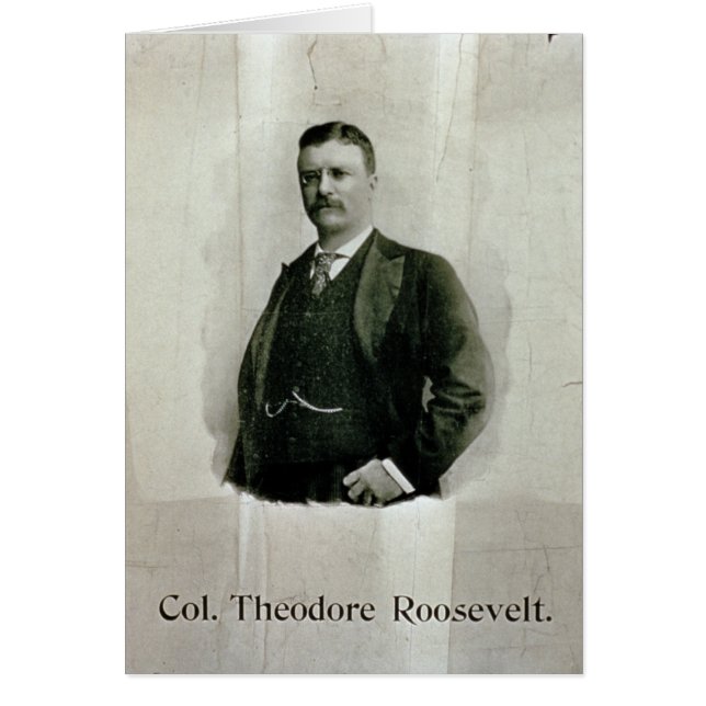 Portret van kolonel Theodore Roosevelt (litho) (Voorkant)