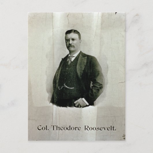 Portret van kolonel Theodore Roosevelt (litho) Briefkaart (Voorkant)