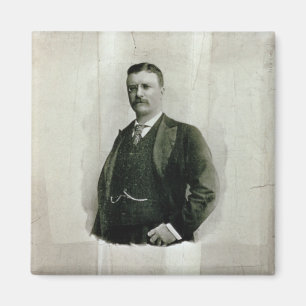 Portret van kolonel Theodore Roosevelt (litho) Magneet