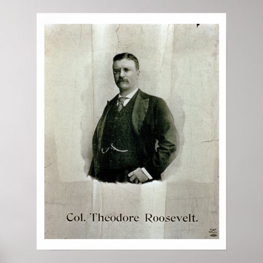 Portret van kolonel Theodore Roosevelt (litho) Poster (Voorkant)