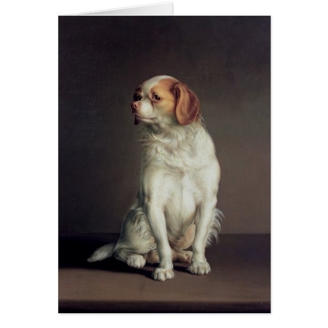 Portret van koning Charles Spaniel (Voorkant)