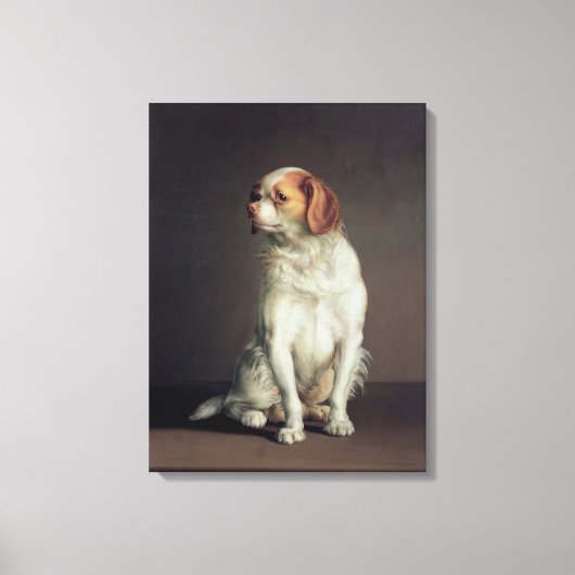 Portret van koning Charles Spaniel Canvas Afdruk (Voorkant)