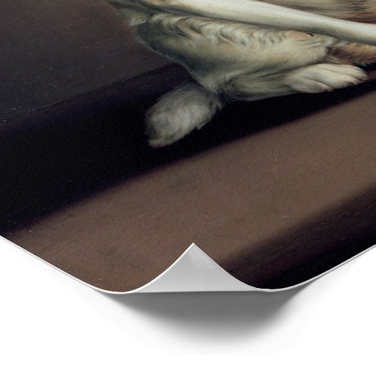 Portret van koning Charles Spaniel Poster (Hoek)