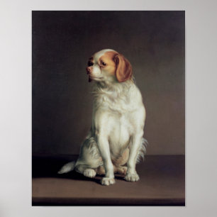 Portret van koning Charles Spaniel Poster