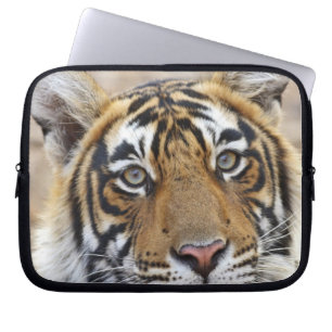 Portret van Koninklijke Bengaalse Tijger, Ranthamb Laptop Sleeve
