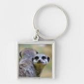 Portret van kratten of suricaten sleutelhanger (Voorkant)