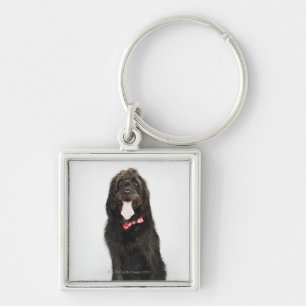 Portret van Labradoedle-hond Sleutelhanger