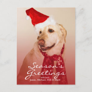 Portret van Labrador die het Pet van de Kerstman Feestdagenkaart