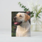 Portret van Labrador Retriever, Hilton Briefkaart (Staand voorkant)