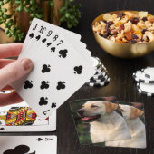 Portret van Labrador Retriever, Hilton Pokerkaarten (Insitu)