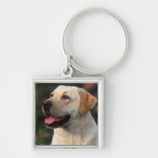Portret van Labrador Retriever, Hilton Sleutelhanger (Voorkant)