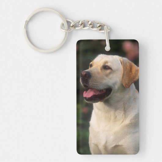 Portret van Labrador Retriever, Hilton Sleutelhanger (Voorkant)