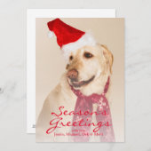 Portret van Labradors retriever met kerstmuts Feestdagenkaart (Voorkant / Achterkant)