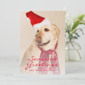 Portret van Labradors retriever met kerstmuts Feestdagenkaart (Staand voorkant)