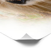 Portret van leeuw foto afdruk (Hoek)