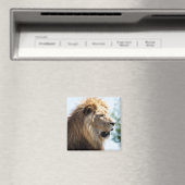 Portret van leeuw gezien uit profiel magneet (Insitu (Vaatwasser))