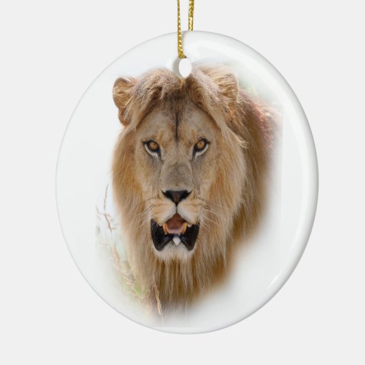 Portret van leeuw keramisch ornament (Links)