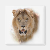 Portret van leeuw magneet (Voorkant)