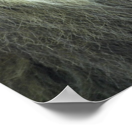 Portret van leeuw poster (Hoek)