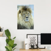 Portret van leeuw poster (Thuiskantoor)