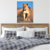 Portret van Leeuwin (Panthera Leo) Canvas Afdruk (Insitu (Slaapkamer))