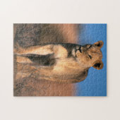 Portret van Leeuwin (Panthera Leo) Legpuzzel (Horizontaal)