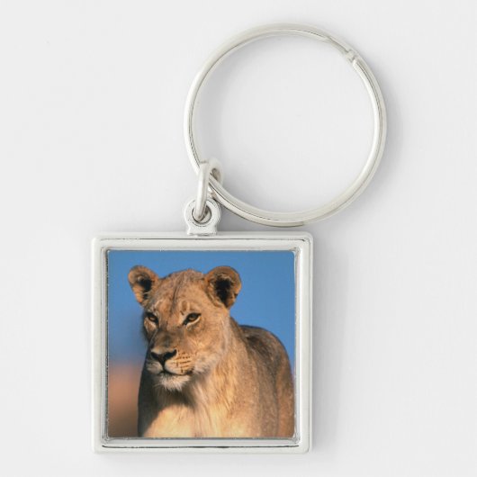 Portret van Leeuwin (Panthera Leo) Sleutelhanger (Voorkant)