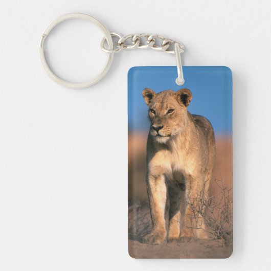Portret van Leeuwin (Panthera Leo) Sleutelhanger (Voorkant)
