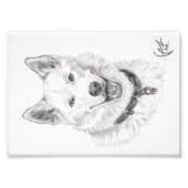 Portret van Loki Foto Afdruk (Voorkant)