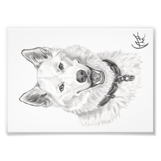 Portret van Loki Foto Afdruk (Voorkant)