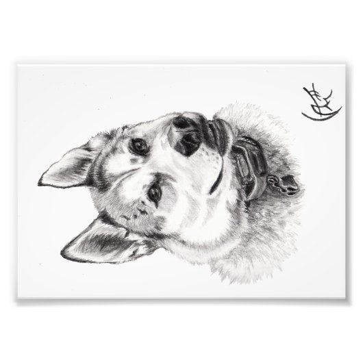 Portret van Lugh Foto Afdruk (Voorkant)