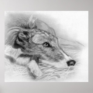 Portret van Lurcher Dog Poster