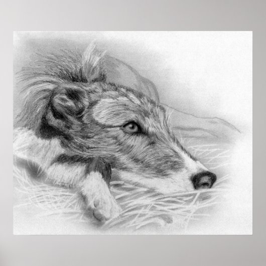 Portret van Lurcher Dog Poster (Voorkant)