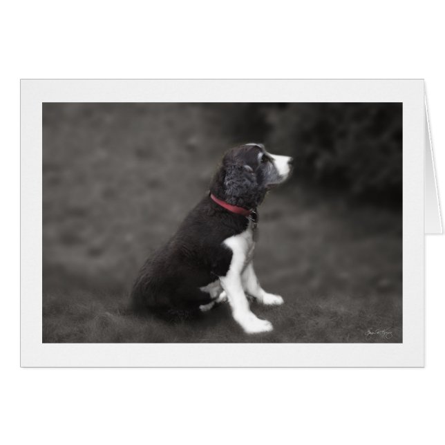 Portret van Mabel 1 (Voorkant Horizontaal)