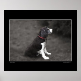 Portret van Mabel nr. 3 Poster