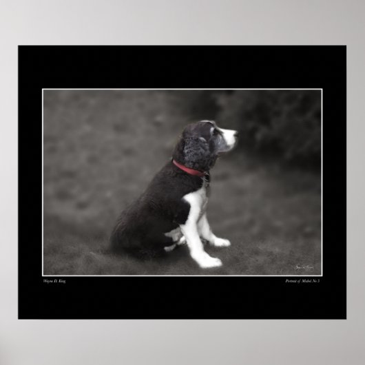 Portret van Mabel nr. 3 Poster (Voorkant)