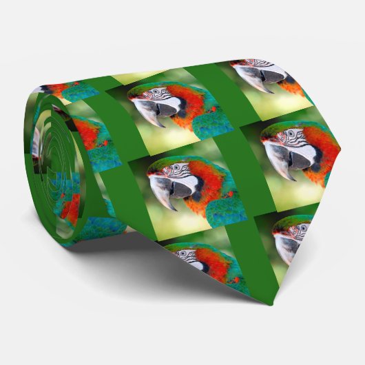 Portret van Macaw Stropdas (Opgerold)