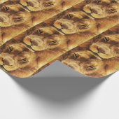 Portret van mannelijke Afrikaanse leeuw. Cadeaupapier (Hoek)