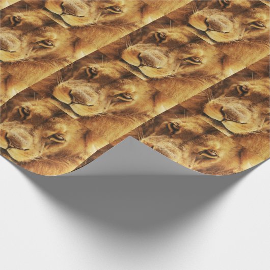 Portret van mannelijke Afrikaanse leeuw. Cadeaupapier (Hoek)